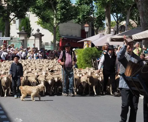 Highlights Saint Remy En Provence